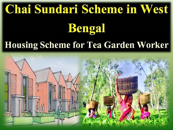 WB Chaa Sundari Scheme