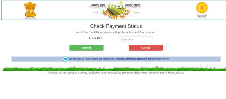 Check Payment Status