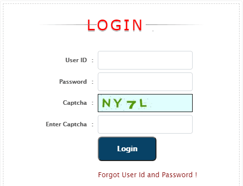 Login Form