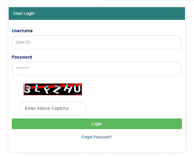 Process To Do Login