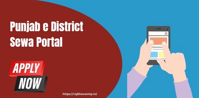 Punjab e District Sewa Portal