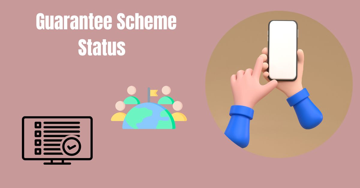 Guarantee Scheme Status