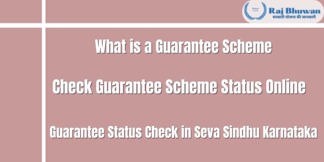 Guarantee Scheme Status 