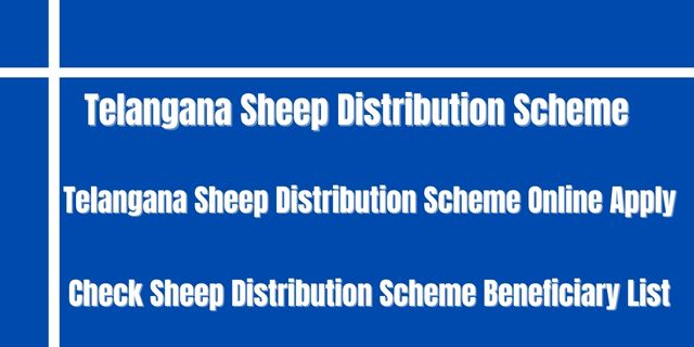 Telangana Sheep Distribution Scheme