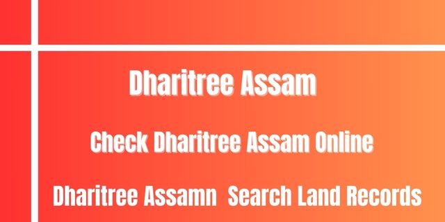 Dharitree Assam