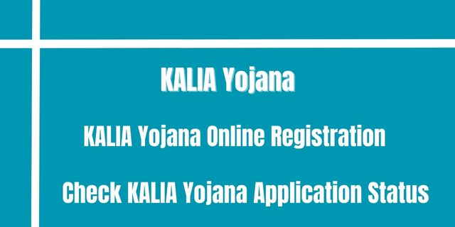 KALIA Yojana